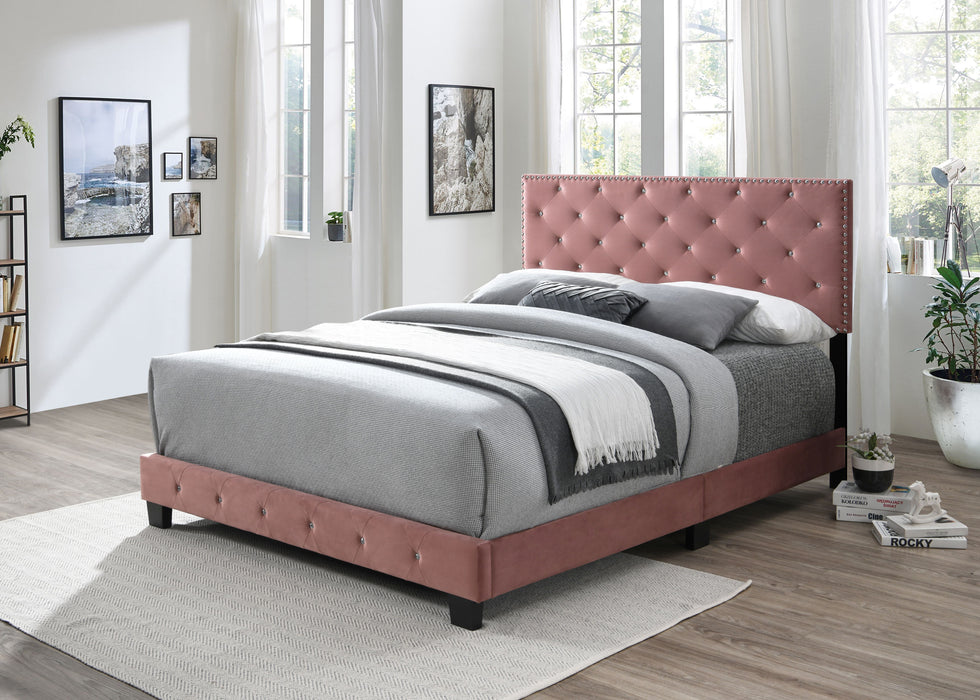 Starlett - Bed