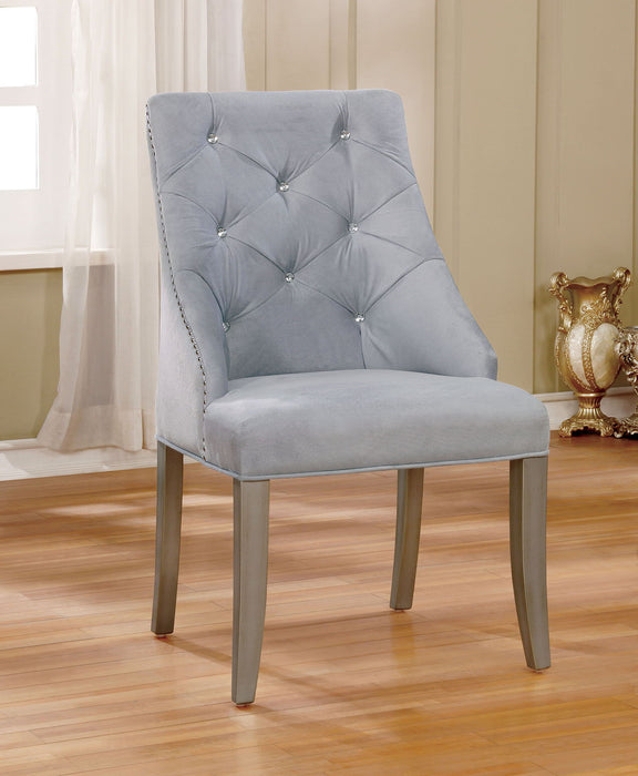 Diocles - Side Chair (Set of 2) - Silver / Gray